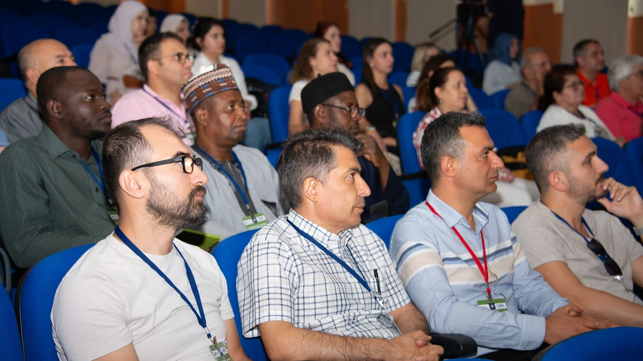 Matematiksel analiz çalışmaları, uluslararası ölçekte tartışılacak